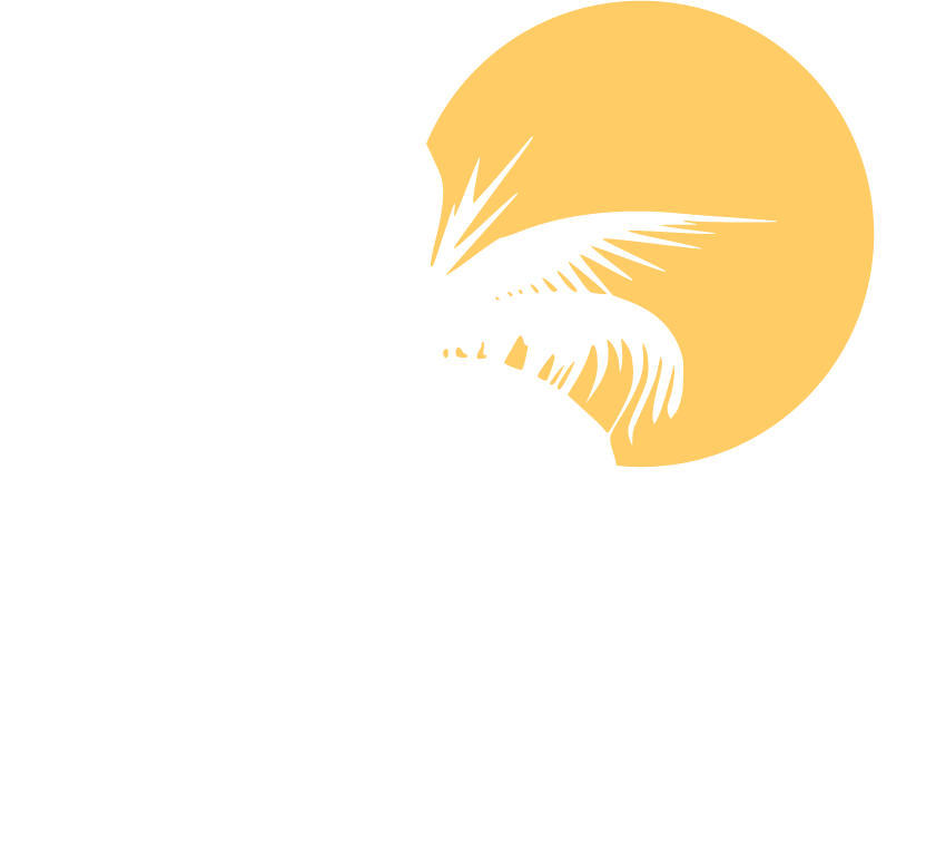 The Social Palm