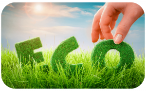 picture of a white person's hand picking up the letter o of eco written like it's made of grass, placed in grass with a sunny sky background