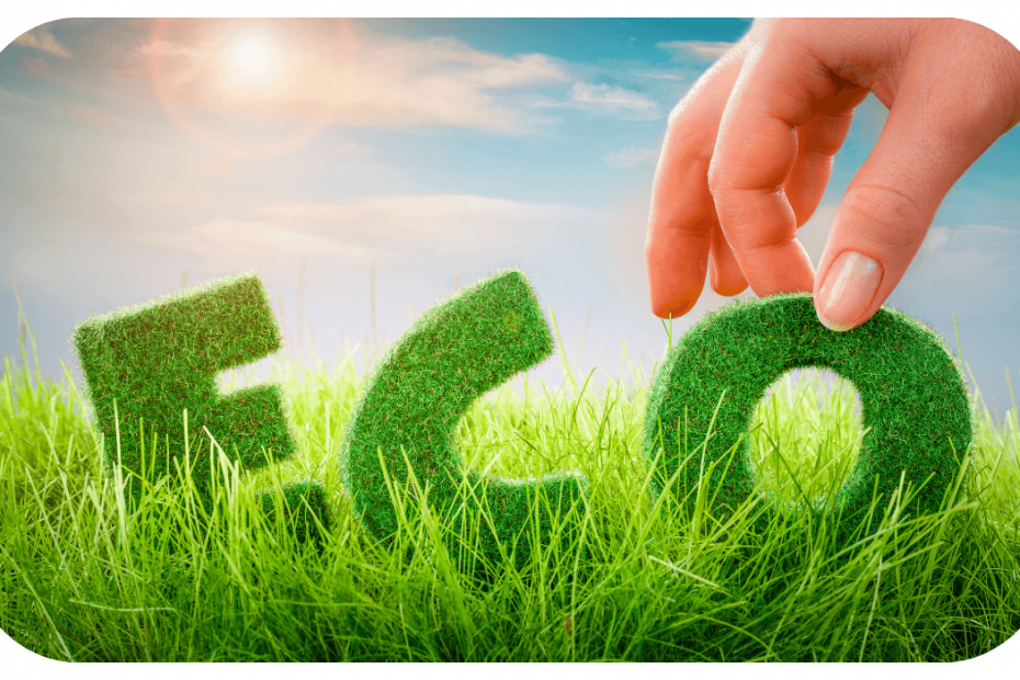 picture of a white person's hand picking up the letter o of eco written like it's made of grass, placed in grass with a sunny sky background