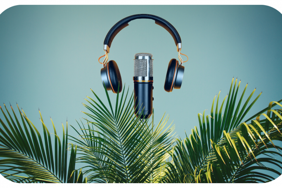 Black and metal microphone and headphones emerging from palm leaves at the bottom of the image on a light blue background